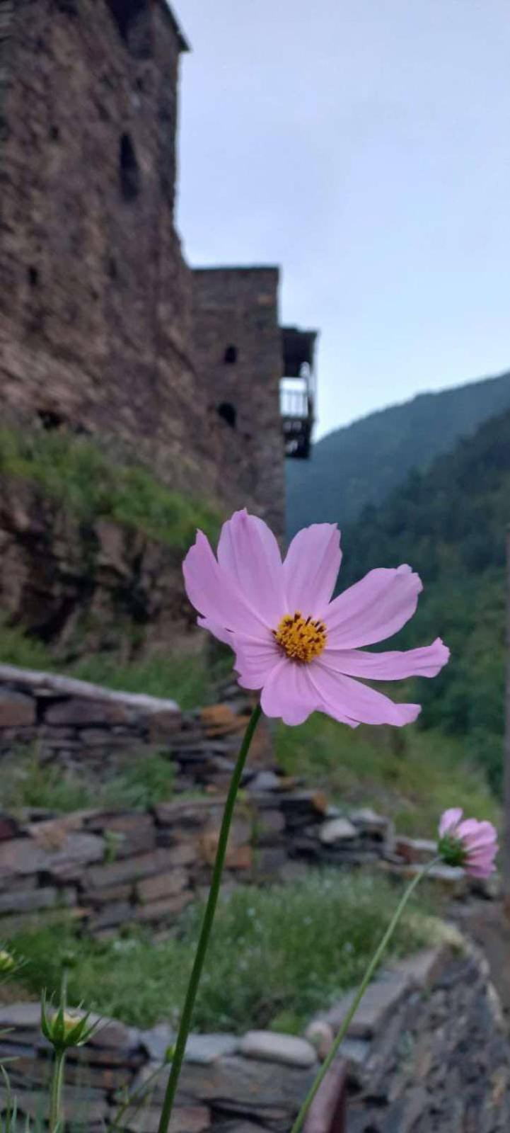"Front Castle" Hotel Shatili Exterior photo